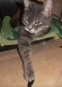 �����