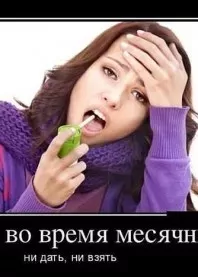 ������  ������ �����