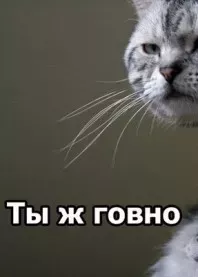 ����������� �������