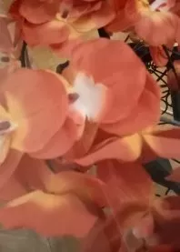 ���