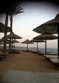 �����