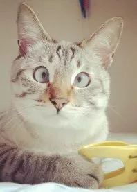 �����