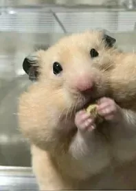 �����