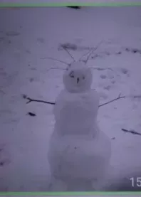 ����