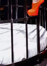 ������� ��������