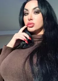 ������ 