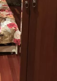 ������ 