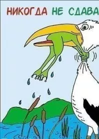 �����