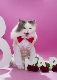 ����. ������! �����