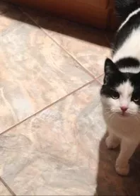 ����
