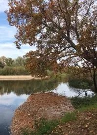 ����