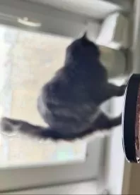 ����
