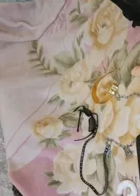 ��������
