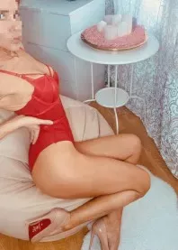 ������ 