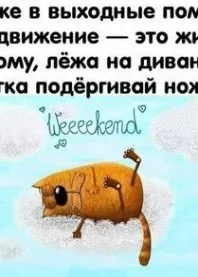 zzzz