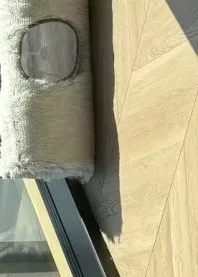 ����