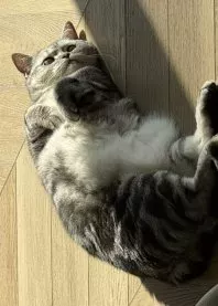 ����