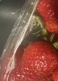 ����� 