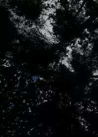 �����