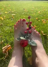 ���� 