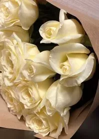 ������ 
