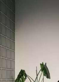 ����