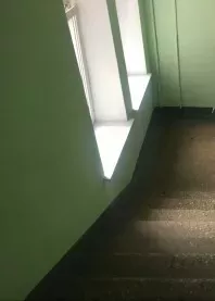 ������ ���������
