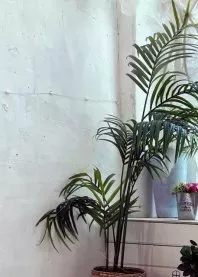 �����