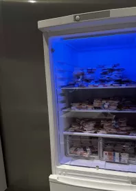 ������