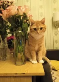 ���