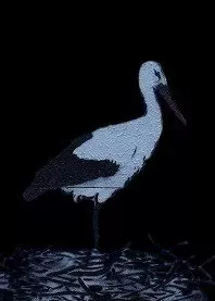 �����