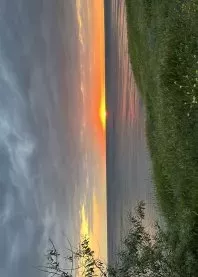�����