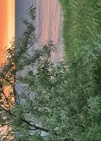 �����