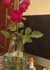 �