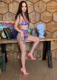 ������ 