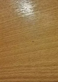 �������  ������