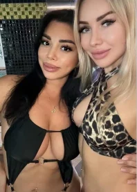 ⚜��&��⚜