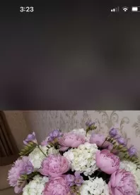 ����� 