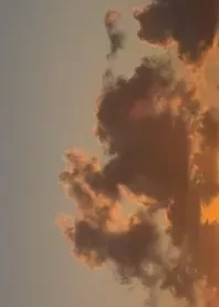 ����� 