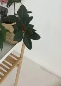 ������