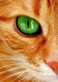�����