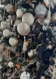 ����� ���� ���������� ������� 