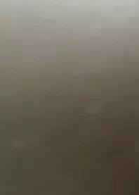 ����� 