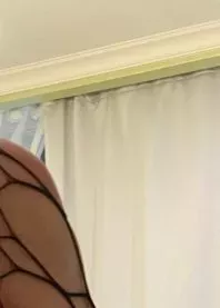 ���� 