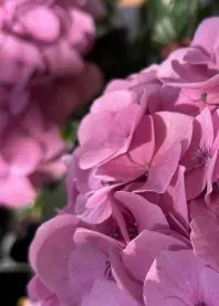 ����� 💖