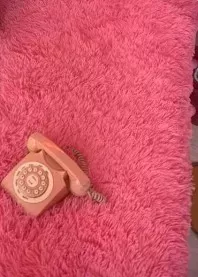 ������ 