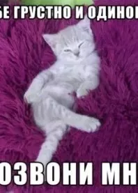 *���� �������))
