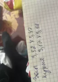 ������ 