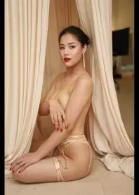 ������ 