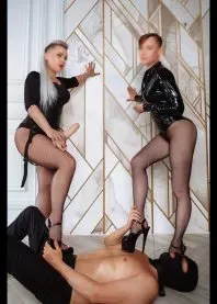���� � ���� 